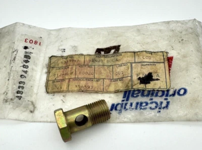 Coletor de escape genuíno OEM FIAT 124 EGR parafuso banjo 4333948 VINTAGE M16x30mm - Imagem 1 de 4