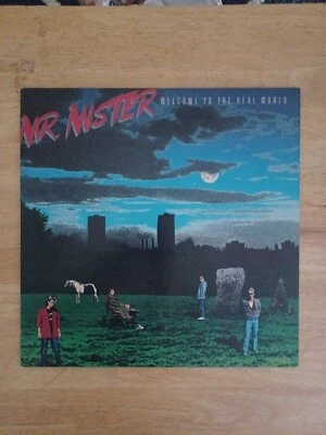 Mr. Mister - Welcome to the Real World (1985) Vinyl LP .PERFECT, fast shipping - Image 1 of 4