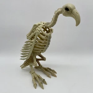 Halloween VULTURE Buzzard Bird Animal Skeleton Decorations Realistic Bones Prop - Picture 1 of 14