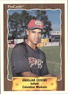 1990 Columbus Mudcats ProCards #1351 Andujar Cedeno