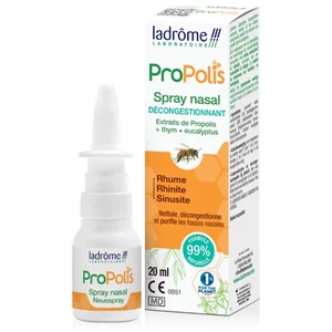 Propolis abschwellendes Nasenspray 20 ml DE/NL ist eine isotonische Kochsalzlösu - Bild 1 von 1