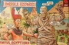 Horrible Histories Awful Egyptians NEW