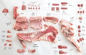 A3 Cortes de cordero/oveja Póster Impresión Carniceros Póster Diagrama Comida - Imagen 1 de 1
