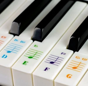 Color Piano Stickers for 49/61/ 76/88 Key Keyboards – Transparent and Removable - Picture 1 of 8