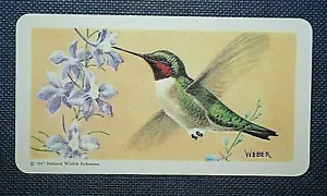 More details for ruby-throated hummingbird   vintage 1950&#039;s  card  bd26