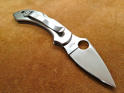 Cuchillo Spyderco Acero Inoxidable Libélula C28P Tierra Plana Borde Liso Escalas Inoxidable Foto 1 de 4