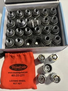 Genuine OEM Ford F150 Expedition Lug Nuts Set 24 AND 4 Locking Lugnuts With Key - Picture 1 of 4