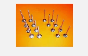 2001-2006 FITS KIA OPTIMA 2.4 DOHC VIN CODE 6 8 INTAKE 8 EXHAUST VALVES - Picture 1 of 1