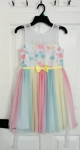Jona Michelle Girls Dress - Size 8 Embroidered Flowers - Multicolor - Picture 1 of 3
