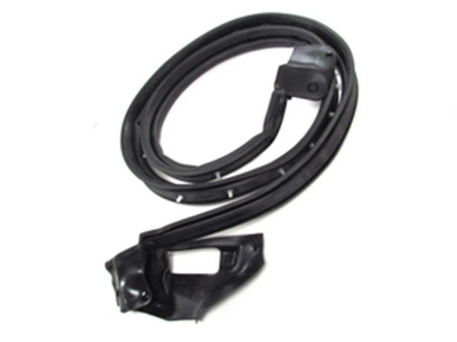 1999 - 2003 FORD - F-150 LEFT SIDE DOOR SEAL - Imagem 1 de 1