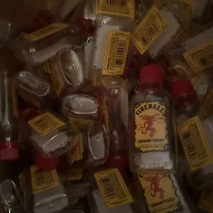 20 Bottiglie di Plastica Vuote 50 Ml Fireball, Artigianato, Sale&pepe, Luci Colori Autunno - Foto 1 di 2