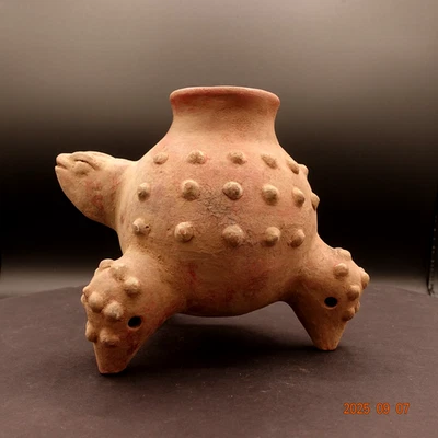 Pre-Columbian Authentic Artifact Ceramic Pottery Bi-chrome Turtle Vessel - Image 1 of 4