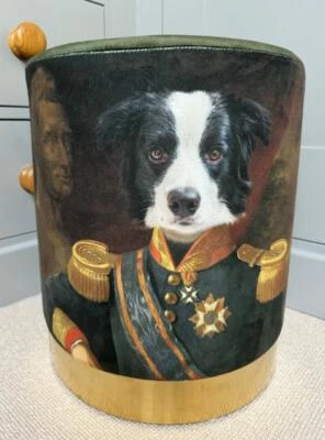 Quirky Stool - Border Collie Dog in Vintage Outfit - Green Velvet Gold Base - Image 1 of 4