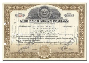 King David Mining Company Stock Certificate - Picture 1 of 2