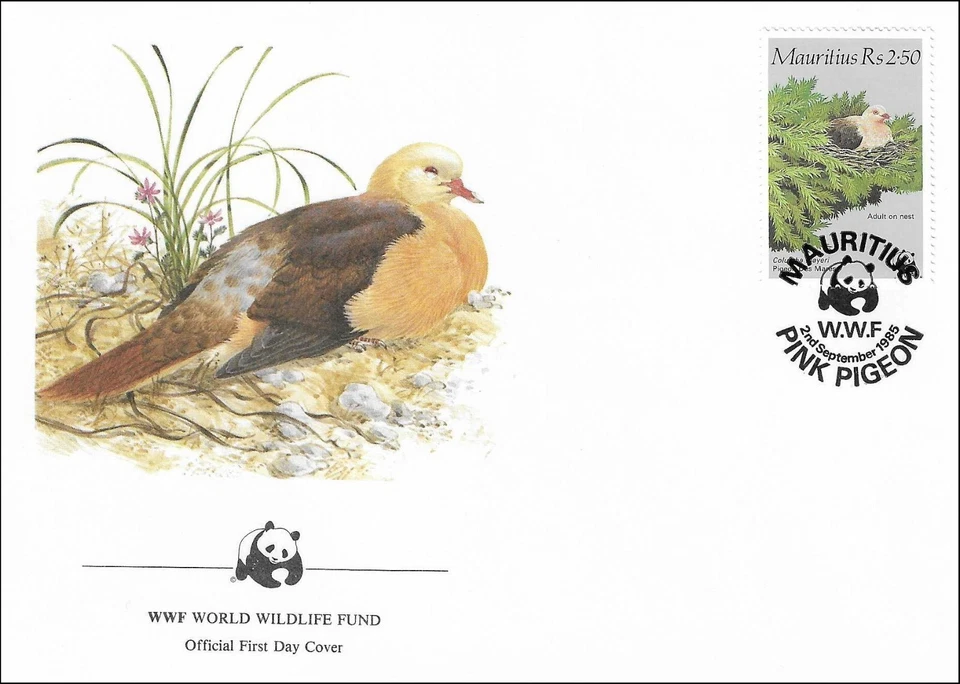 Paloma rosa Columba Mayeri pájaro adulto en nido naturaleza Mauricio FDC 1985 Foto 1 de 1