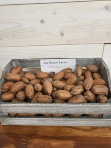 2024 Crop 30lb Box Georgia Grown In-Shell Desirable FREE SHIPPING - Picture 1 of 5