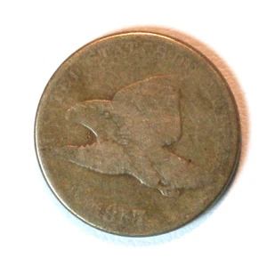 1857 Flying Eagle Cent - Picture 1 of 3
