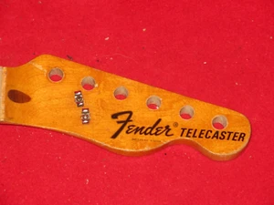 Fender 1975 Maple Telecaster Neck - Imagen 1 de 6