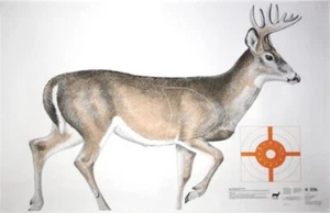 NRA Whitetail Deer Life-Size Targets (HF 07940), 60" x 42" (3 rolled), SHIP FREE - Picture 1 of 1
