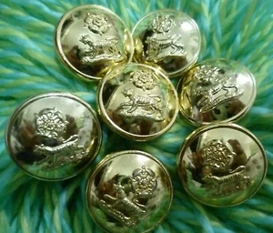 STAYBRITE YORK AND LANCASTER REGIMENT UNIFORM BUTTON 7 PCS 25 MM - Picture 1 of 4