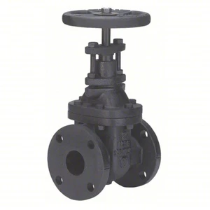 FNW Gate Valve: Class 125, 2 1/2 in Pipe Size, 200 psi Max. Water Pressure - Picture 1 of 5