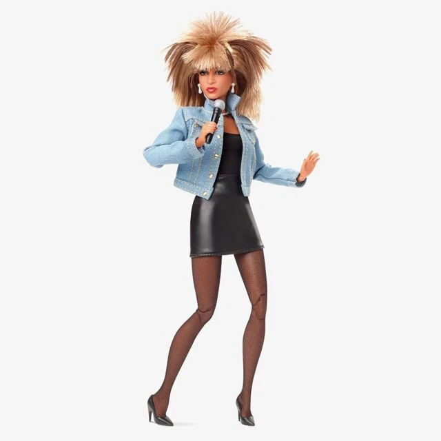 Barbie HCB98 Fashion Doll Tina Turner
