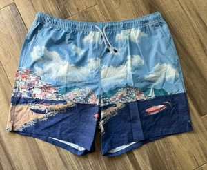 Peter Millar Seaside Collection Mens XXL 2XL Blue Beach Coast Lined Swim Trunks - Picture 1 of 12