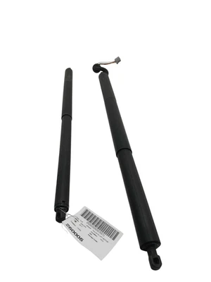 2013-2019 Ford Escape Left & Right Tailgate Power Support FoMoCo Pair - Image 1 of 4