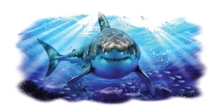 MAGNIFIQUE SWEAT SHIRT. REQUIN.  /  S  M  L  XL  XXL  XXXL XXXXL + ENFANT.     - Picture 1 of 1