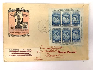 1934 FDC National Stamp Exhibition NYC Byrd Antarctic Expedtion Briefmarken - Bild 1 von 4