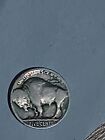 Rare+No+Date+Buffalo+Indian+Head+Nickel+5+Cents
