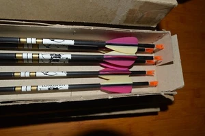 6x Boxed 29 inch Arrows. Longshot - Sky Art - Axiom 900 Carbons (New Old Stock) - Picture 1 of 5
