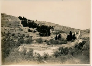 JERUSALEM c. 1925 - Vue de la Ville Mont des Oliviers - P 2530 - Imagen 1 de 1