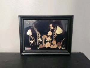 Vintage Dried Pressed Native Framed Flowers on Black Felt in Picture Frame - Picture 1 of 8
