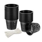 Promote Efficient Nutrient Absorption With For Hydroponics Mesh Net Cup Kit