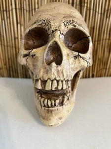 RANDOTTI ORIGINAL LACHENDER SCHÄDEL GEMARKT # 847 LEUCHTET NOCH IM DUNKELN - Bild 1 von 9