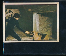 1977 Bruce Lee Serbian Sticker Brus Li #192 Bruce Lee w/ attack dog