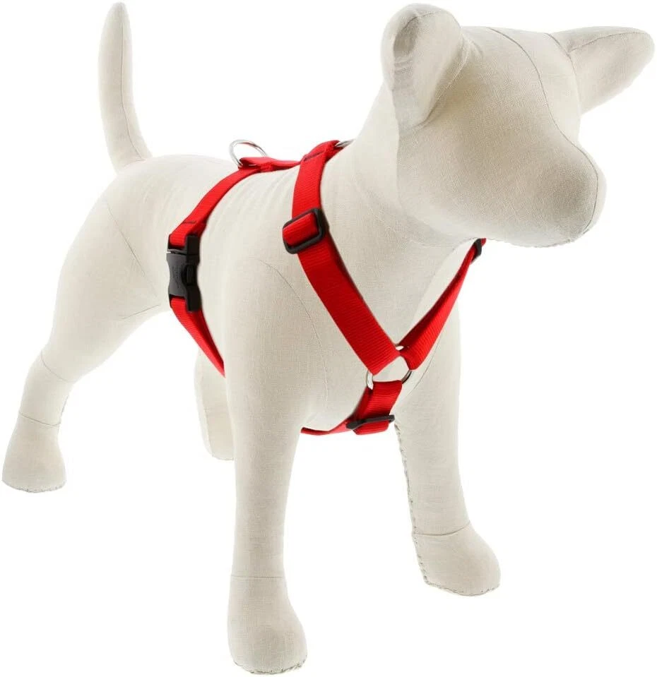 Arnés ajustable extra grande para perros de Lupine en rojo de 1" de ancho con circunferencia de 36-44" Foto 1 de 1