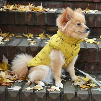 Colete Amarelo para Cães Pequenos/Jaqueta Moda Outono para Cachorro/Suéter para Cachorro Pequeno - Imagem 1 de 4