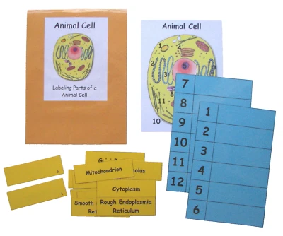 Teacher Made Science Center 教育资源游戏标签动物细胞 — 第 1/2 张图片