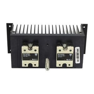Carlo Gavazzi RM1C60D25 2x Solid State Relay with Radiator Used UMP - Foto 1 di 7