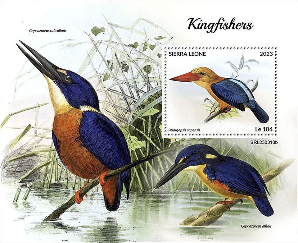 KINGFISHERS Birds Kingfisher Bird MNH 1v-Stamp Sheet #2353 (2023 Sierra Leone) - Image 1 of 1