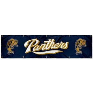 Florida International Panthers Large 8 Foot Banner - Picture 1 of 4