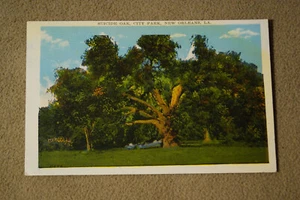 Suicide Oak - City Park - New Orleans, Louisiana - Picture 1 of 2