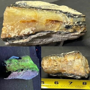 COOL CHUNK OF OPALIZED PETRIFIED WOOD, NEVADA: ALSO FLUORESCENT! - Picture 1 of 21