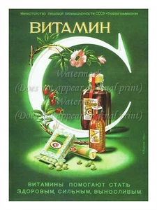 Soviet Russian Trade Advertising Poster Print 18x24" VITAMIN "C" - Picture 1 of 1