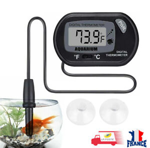 Thermomètre numérique écran LCD pour aquarium avec ventouse °C et °F