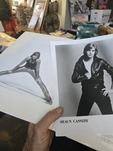 Shaun Cassidy Rare  1979 Warner Brothers Press Kit Glossy Photos Thick Bios... - Picture 1 of 17