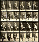 Photo Eadweard Muybridge, étude du mouvement, « homme à la canne, chapeau et sac » années 1880 11x17