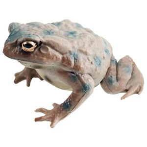 Realistic Frog Models Action Figure Animal Toad Toy Figure Wildlife Model Learn - Foto 1 di 10